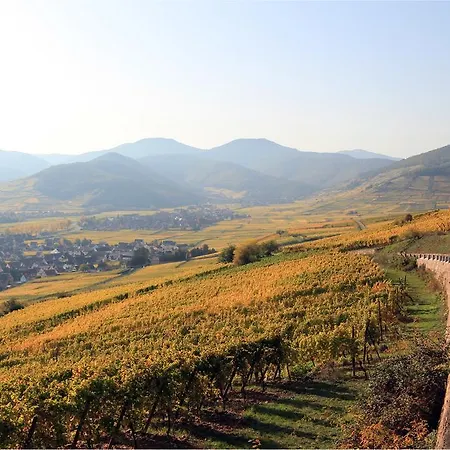 レジデンス デ シャトー ホテル