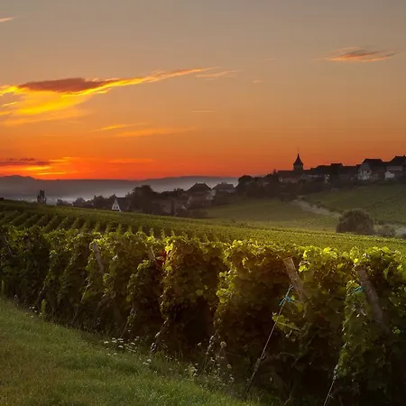 城堡酒店 酒店 3*