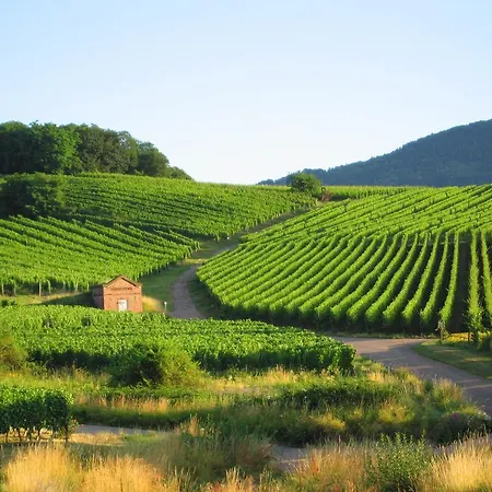 城堡酒店 3* 奥特罗特