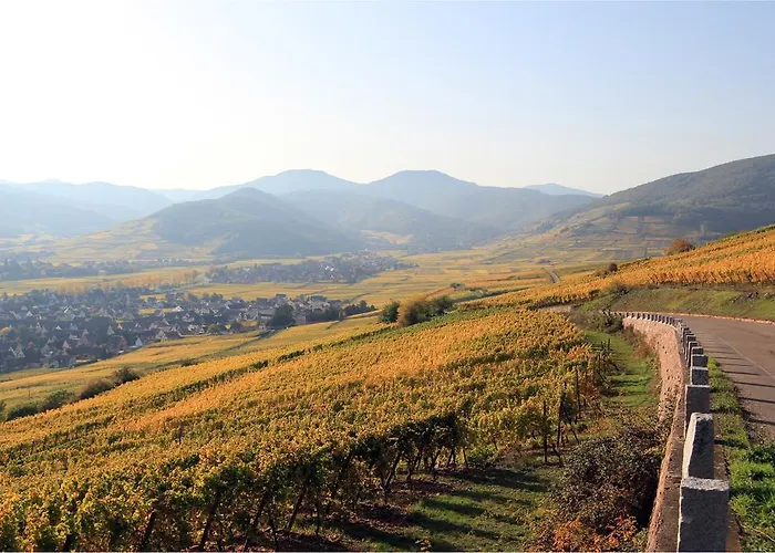 レジデンス デ シャトー ホテル