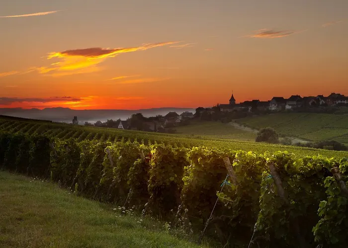 レジデンス デ シャトー ホテル 3*