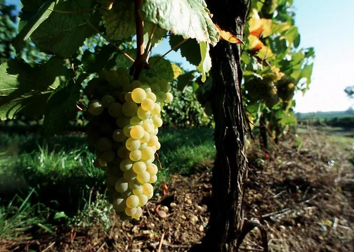 レジデンス デ シャトー ホテル 3*