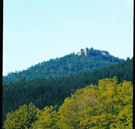 ホテル レジデンス デ シャトー 3*